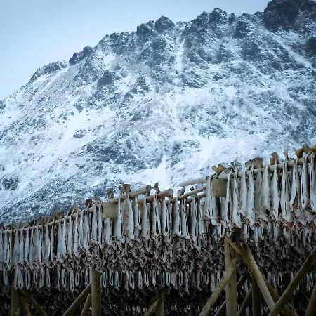 Nordbo - unik plass med utsikt over Rambergstranda Ramberg